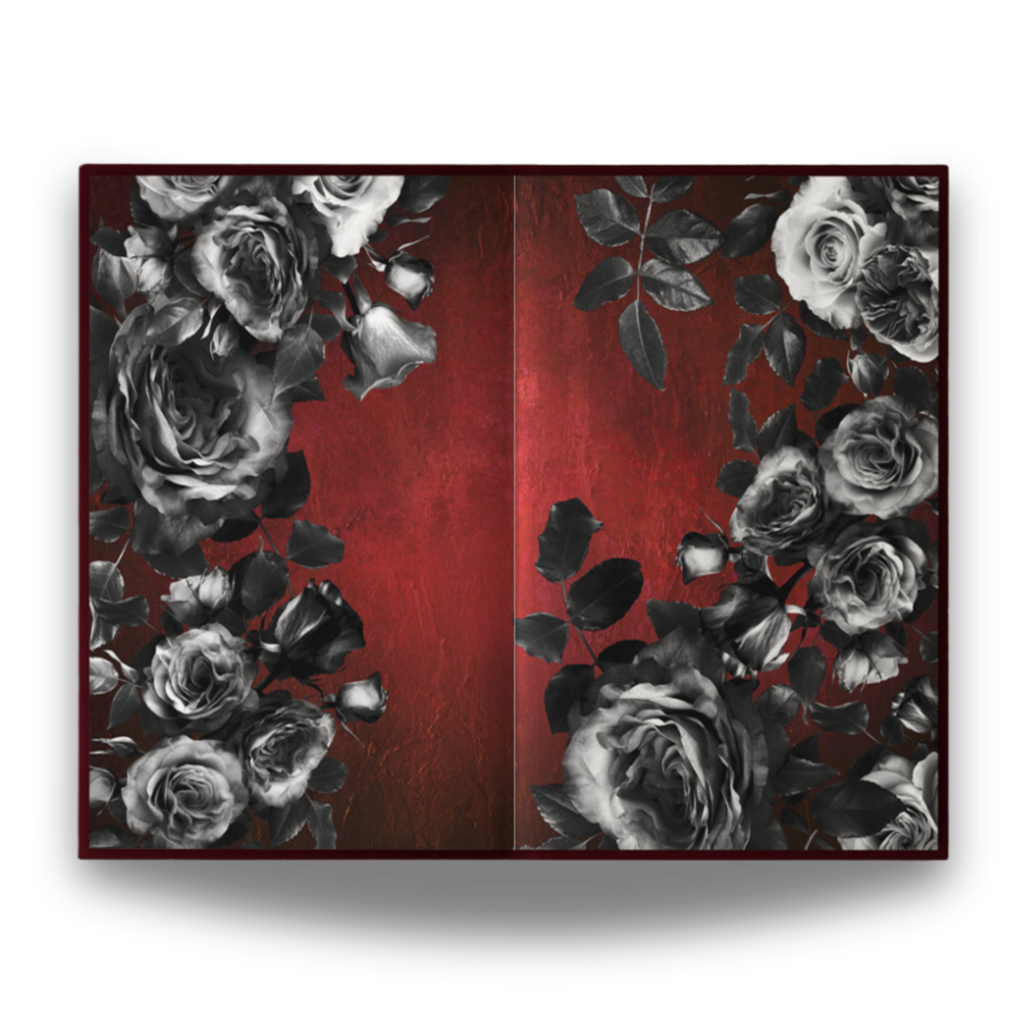 Dubious - Book 1 (Special Edition)