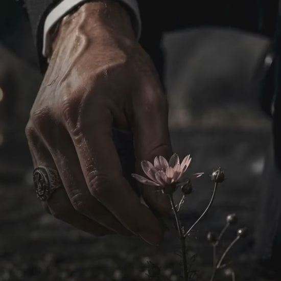Video of a man picking a flower from the dirt